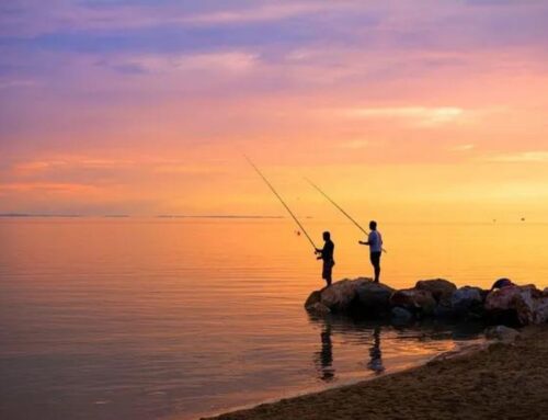 Six reasons why fishing is great for your mental health